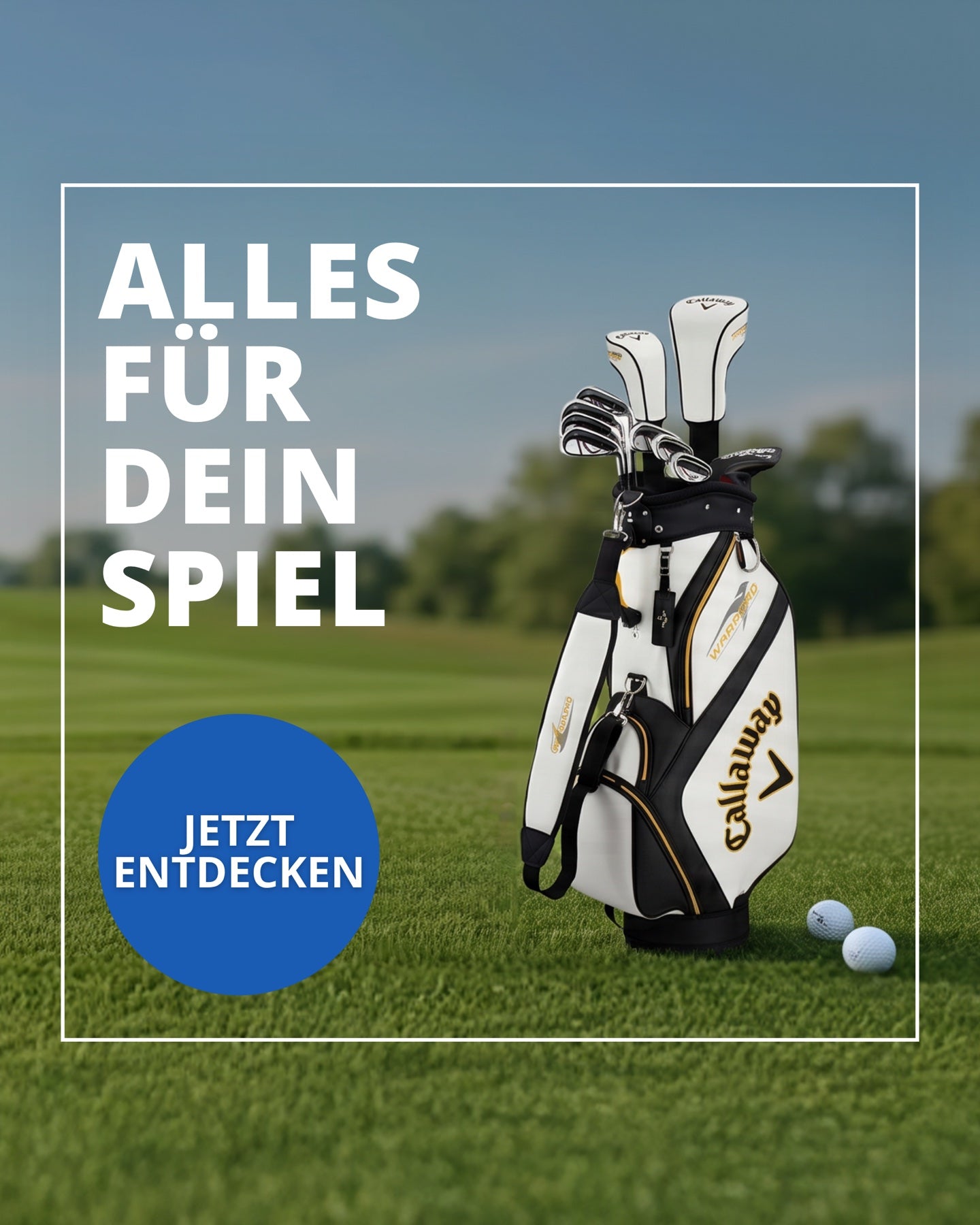 Golfschläger und Komplettsets entdecken