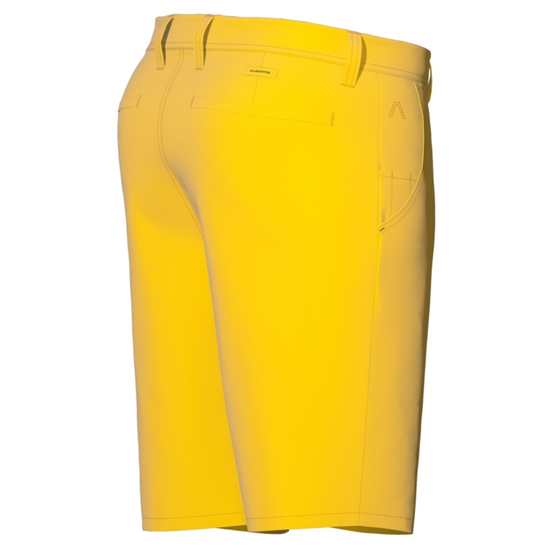 Alberto EARNIE WR Revolutional Shorts Herren