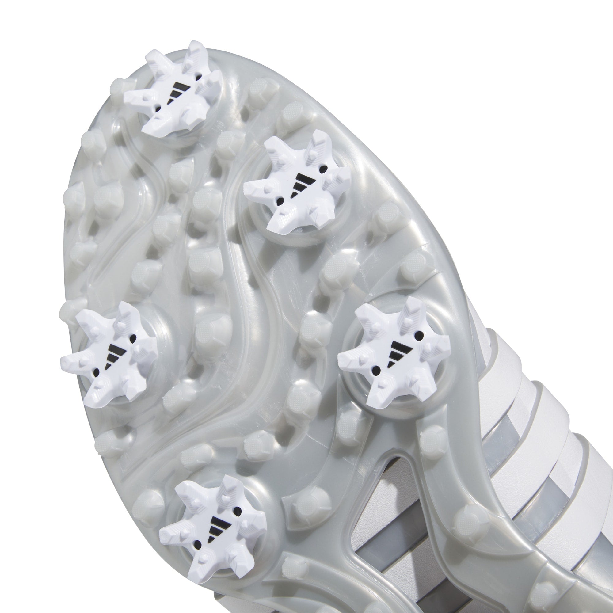 adidas Tour360 24 Golfschuh Damen