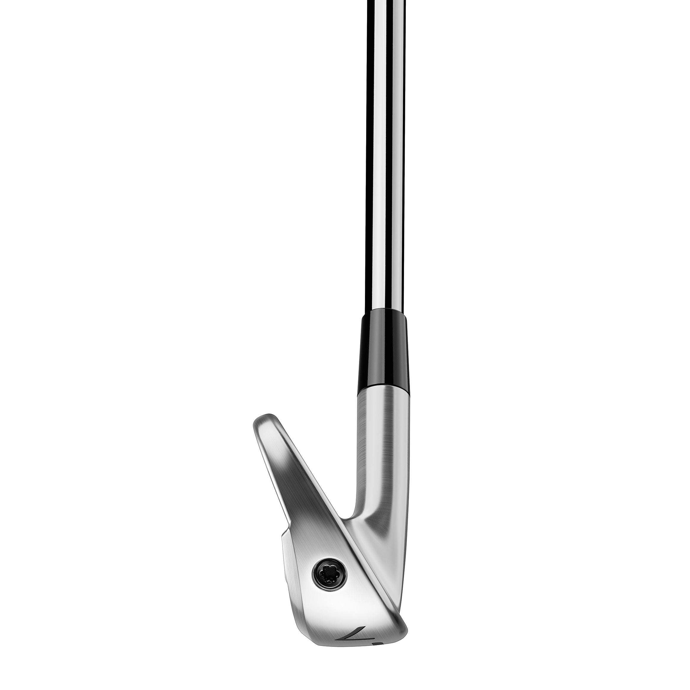 Taylormade P770 24 Iron Set