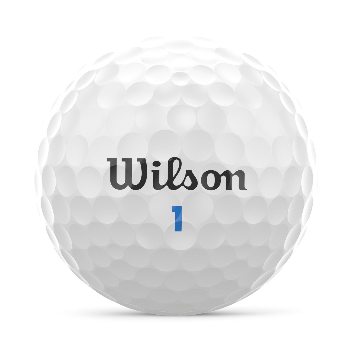 Wilson Tour Velocity Bälle 15 Stk.